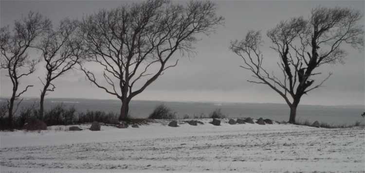 Click for the gallery page to add comments and vote (PID:71279) Helletofte Langdysse