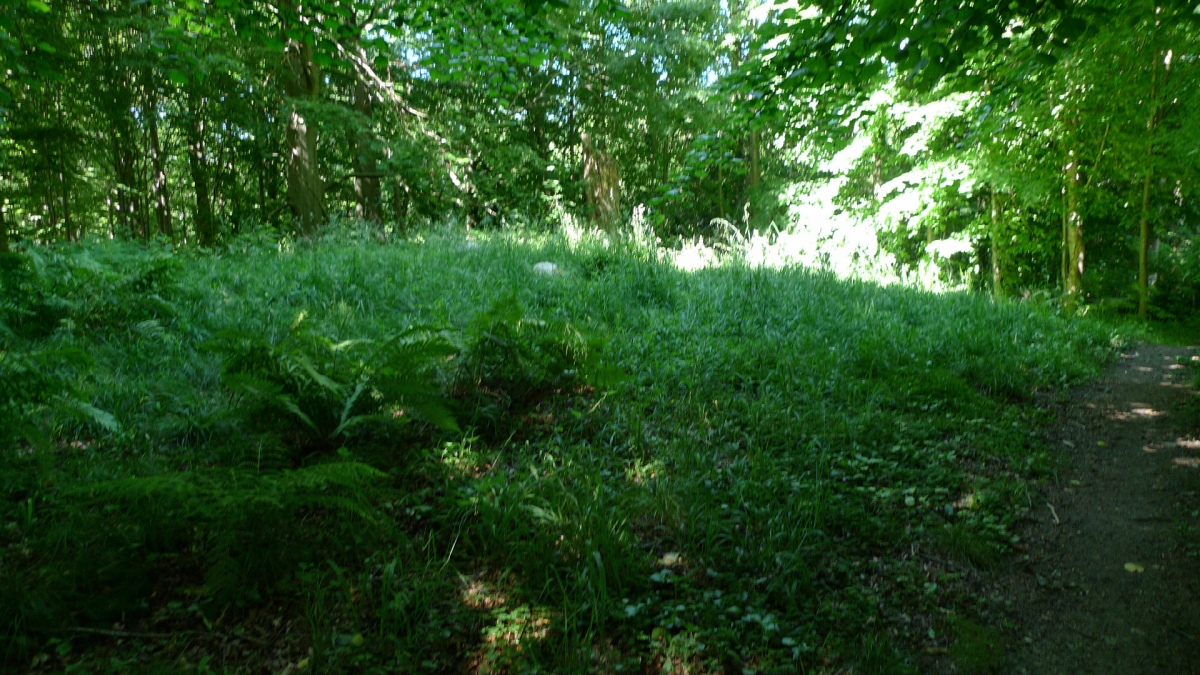 Åbenrå Hjelm Skov Runddysse