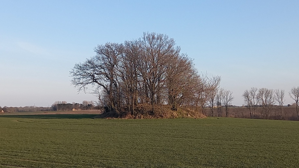 Click for the gallery page to add comments and vote (PID:256468) Hoglebjerggaard Rundhøj