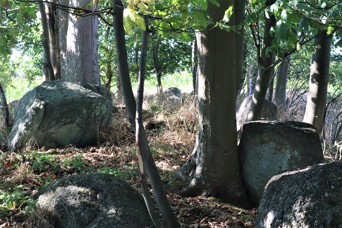 Click for the gallery page to add comments and vote (PID:216202) Bogø Langdysse 3