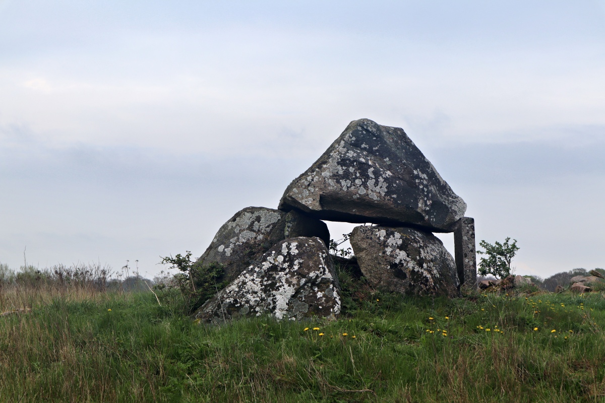 Click for the gallery page to add comments and vote (PID:291290) Bjerne Knoldsborg Runddysse 2