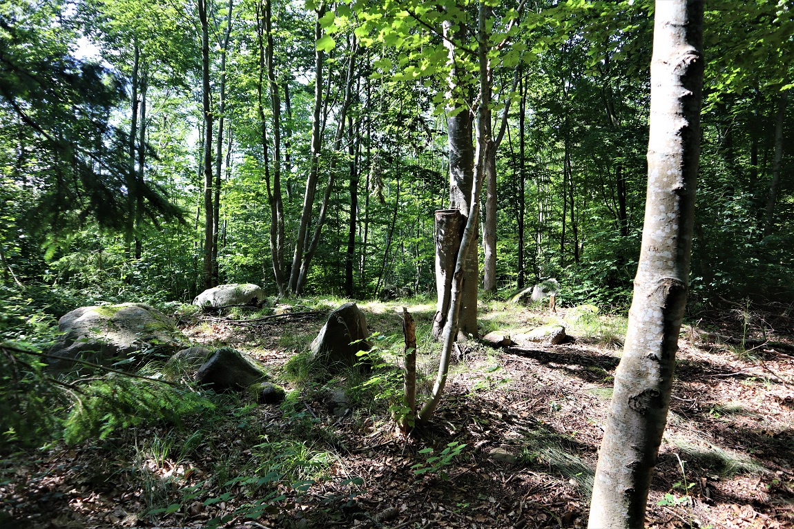 Click for the gallery page to add comments and vote (PID:234993) Pipstorn Skov Runddysse