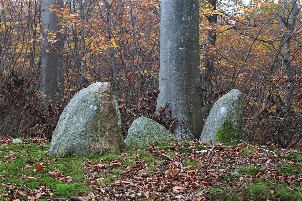 Click for the gallery page to add comments and vote (PID:254687) Grevinge Skov Megalitgrav