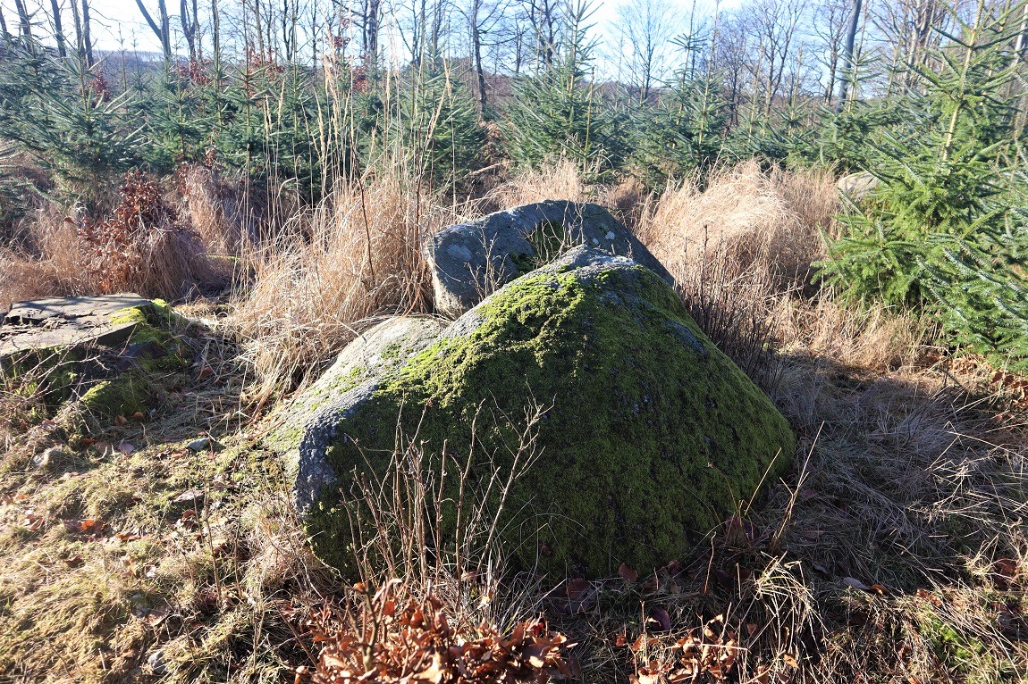 Click for the gallery page to add comments and vote (PID:254031) Store Møsten Skov Langdysse