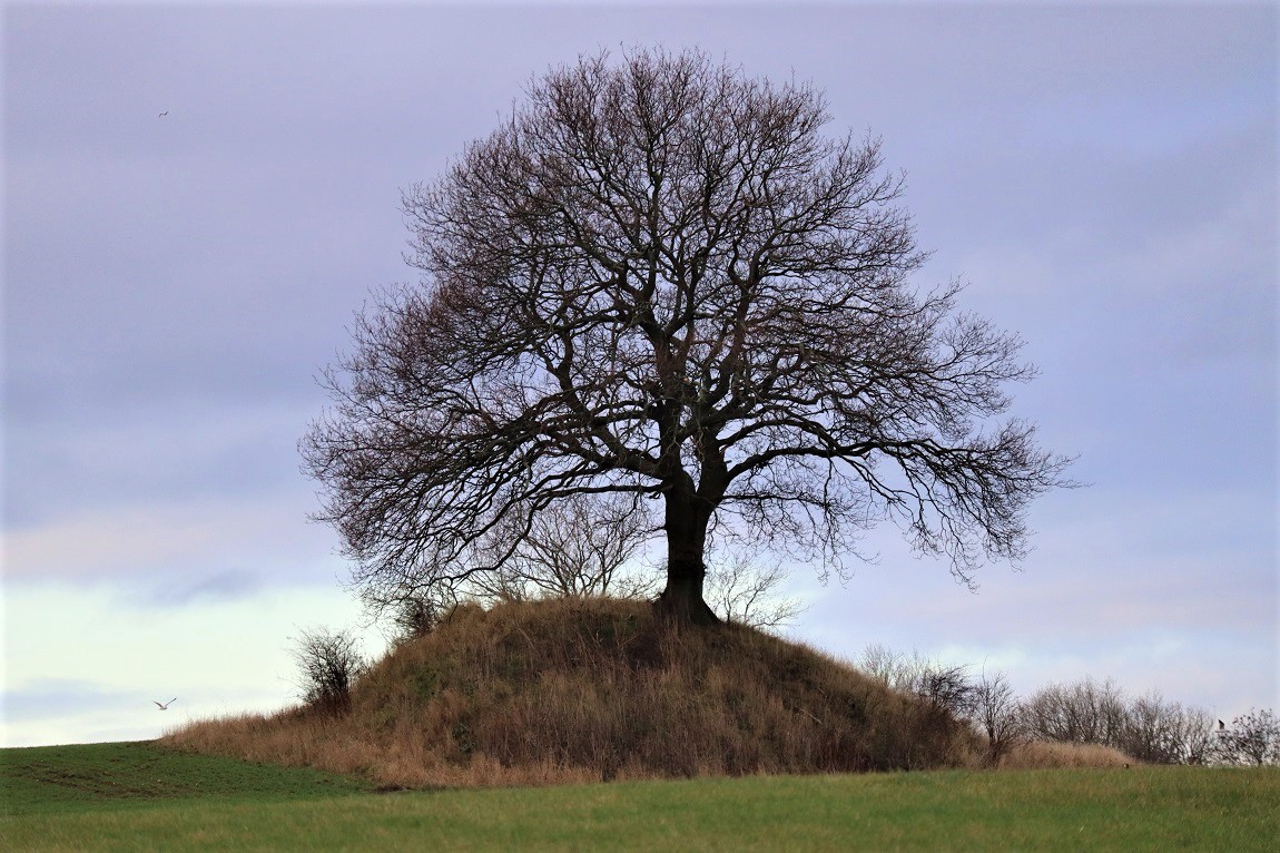 Nihøiene (Tlørnehoved)