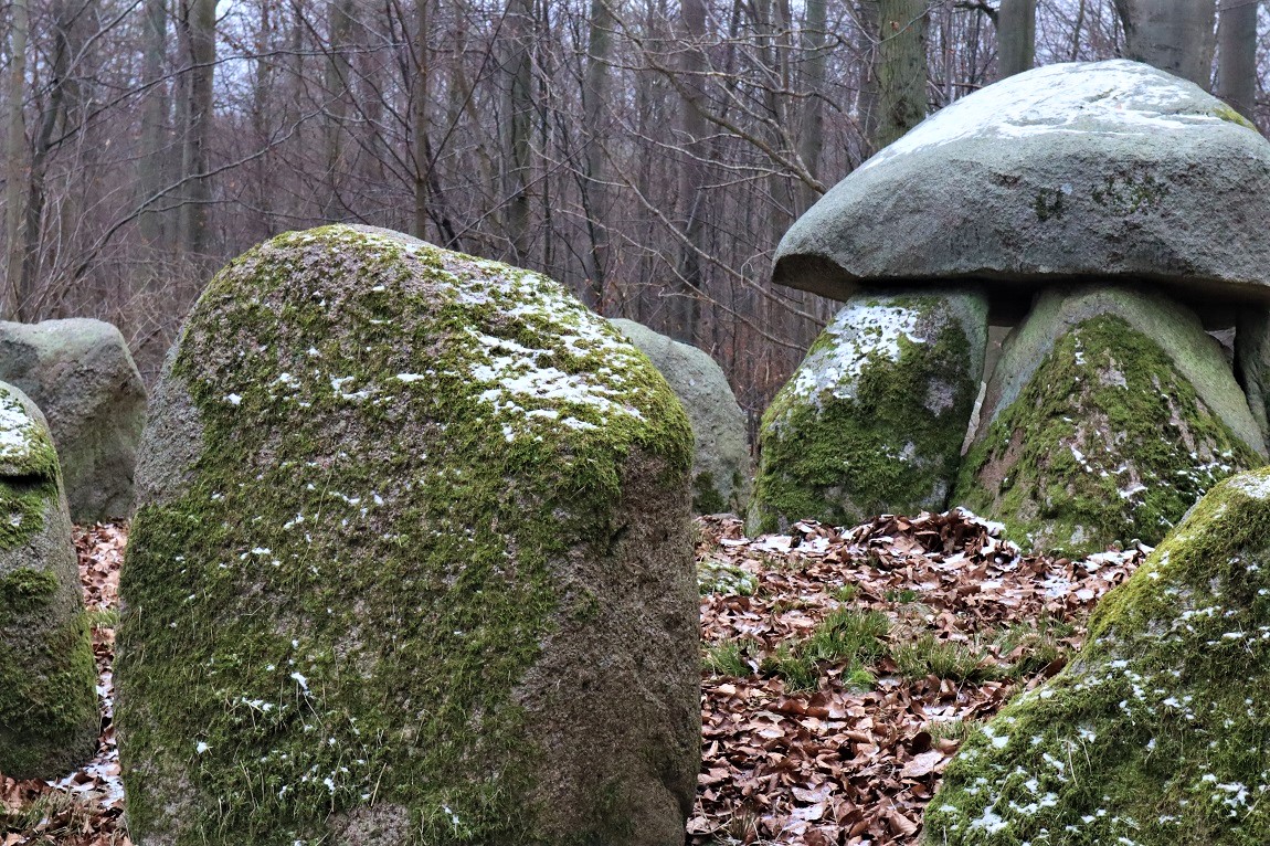Click for the gallery page to add comments and vote (PID:229161) Frejlev Skov Runddysse 4