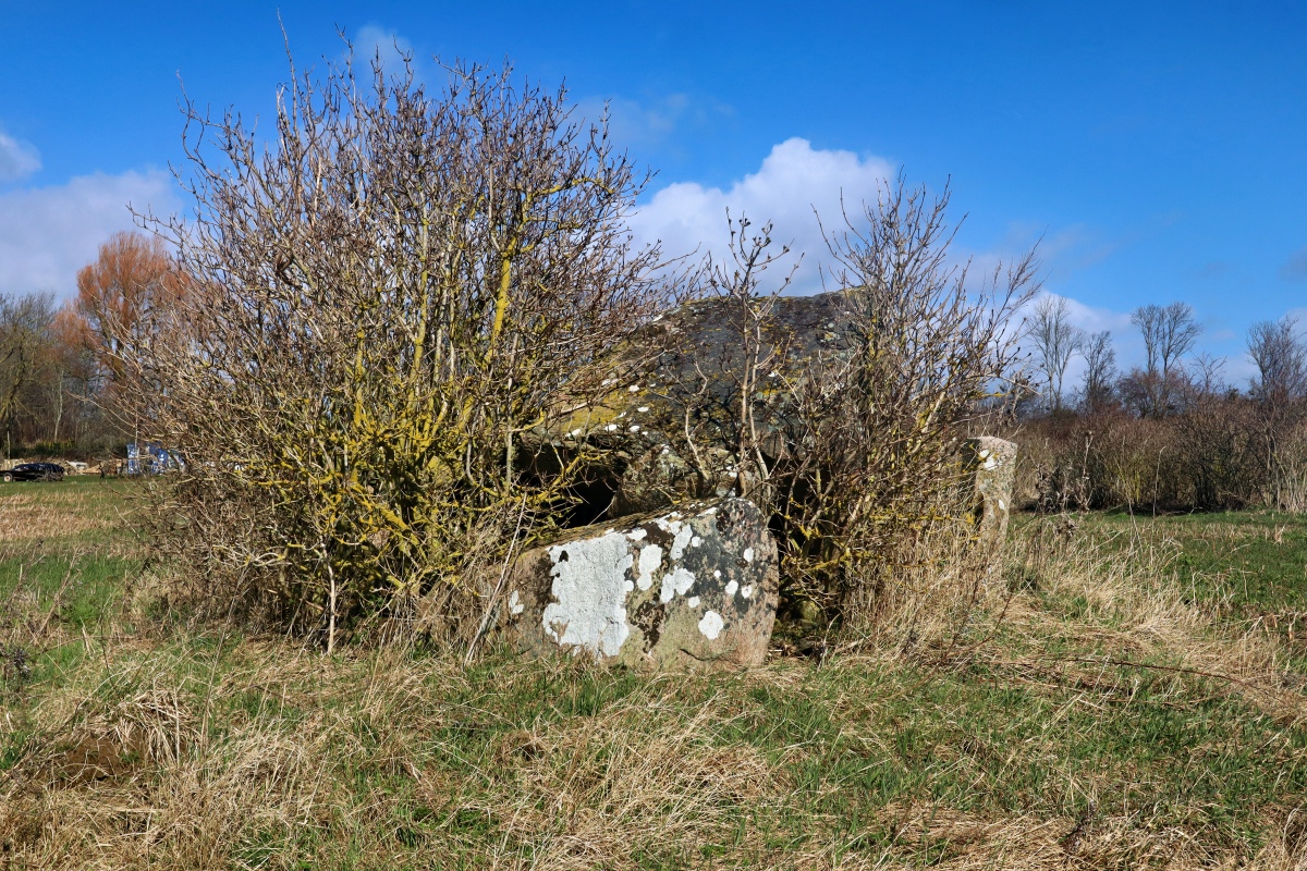 Click for the gallery page to add comments and vote (PID:306544) Rødklintegård Runddysse