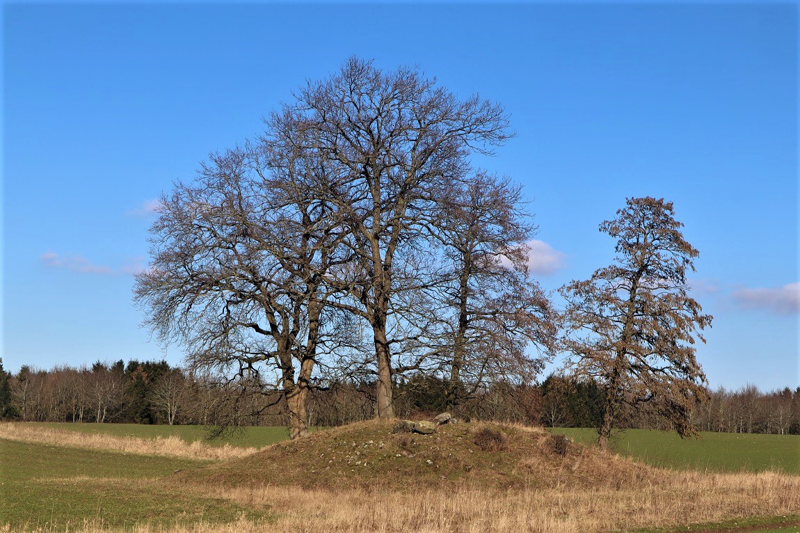 Click for the gallery page to add comments and vote (PID:255052) Benzonslund Jættestue