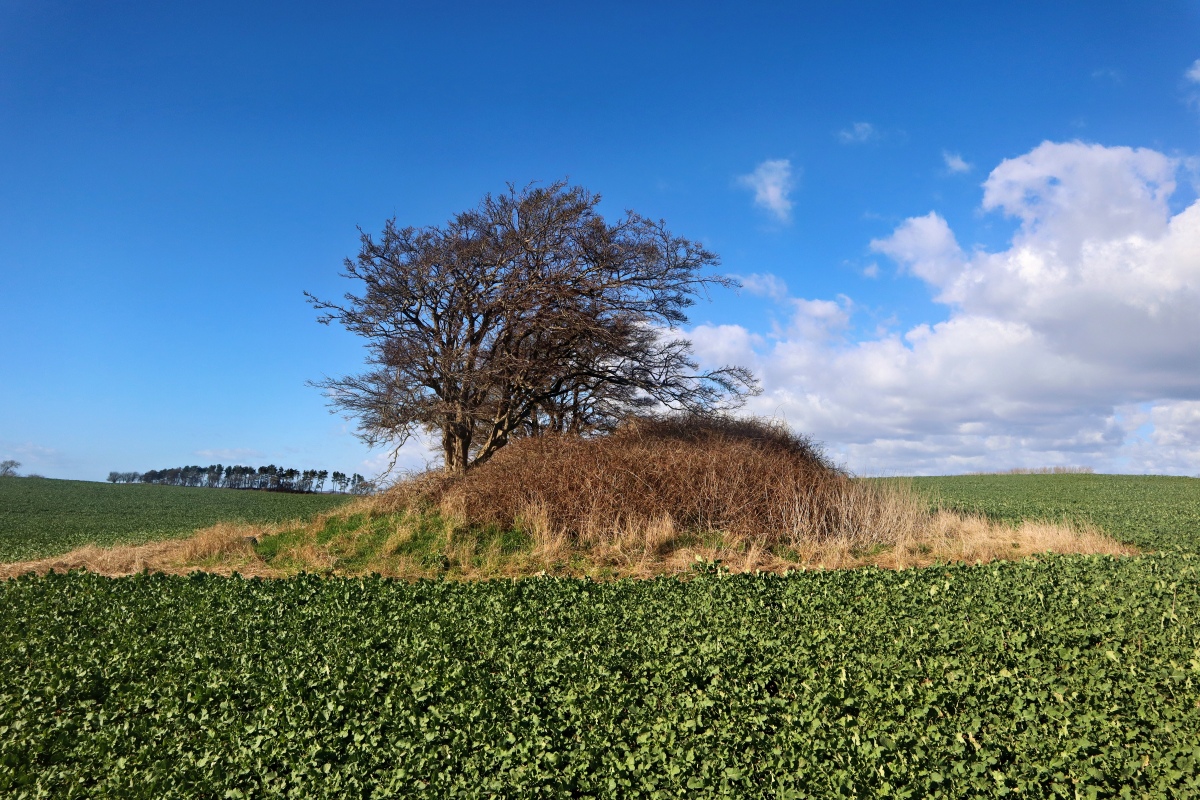 Click for the gallery page to add comments and vote (PID:306380) Sønderhjørne Runddysse