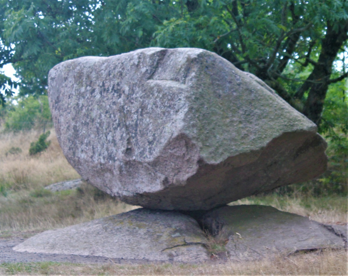 Kyllingehønen