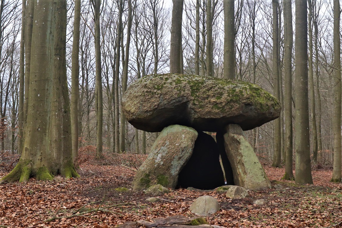 Click for the gallery page to add comments and vote (PID:255736) Bjergstedskoven Runddysse 3
