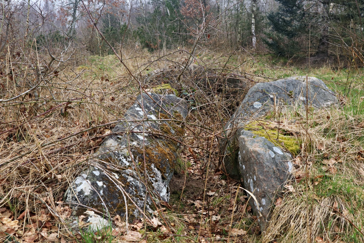 Click for the gallery page to add comments and vote (PID:309690) Orelund Skov Runddysse