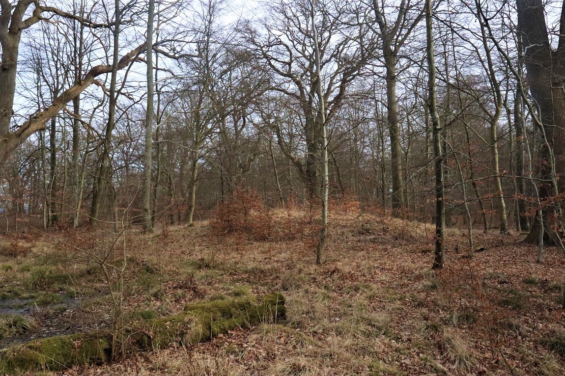 Click for the gallery page to add comments and vote (PID:224283) Strandegård dyrehave Rundhøj Nord