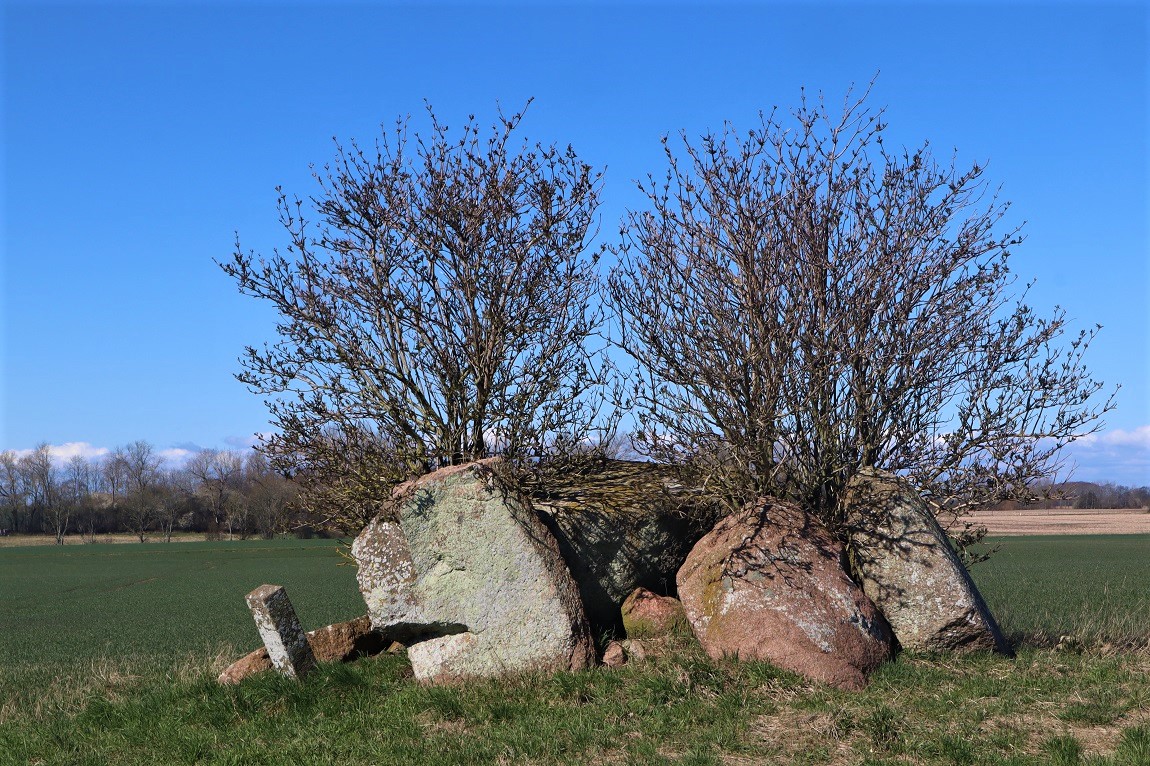 Click for the gallery page to add comments and vote (PID:256881) Bladstrup Ærtesten Jættestue