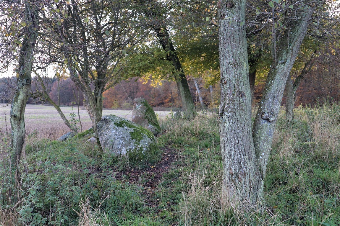 Click for the gallery page to add comments and vote (PID:205839) Dyrlev Skov Langdysse (Udby)