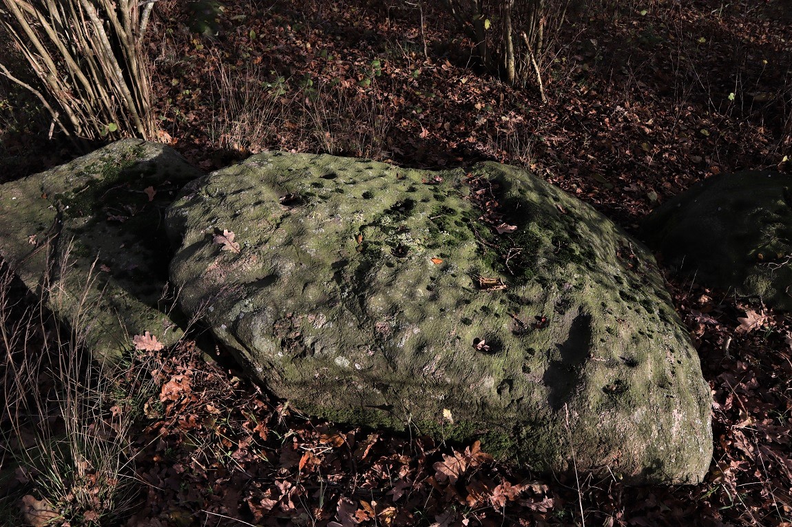 Click for the gallery page to add comments and vote (PID:205871) Ølskov Megalitgrav