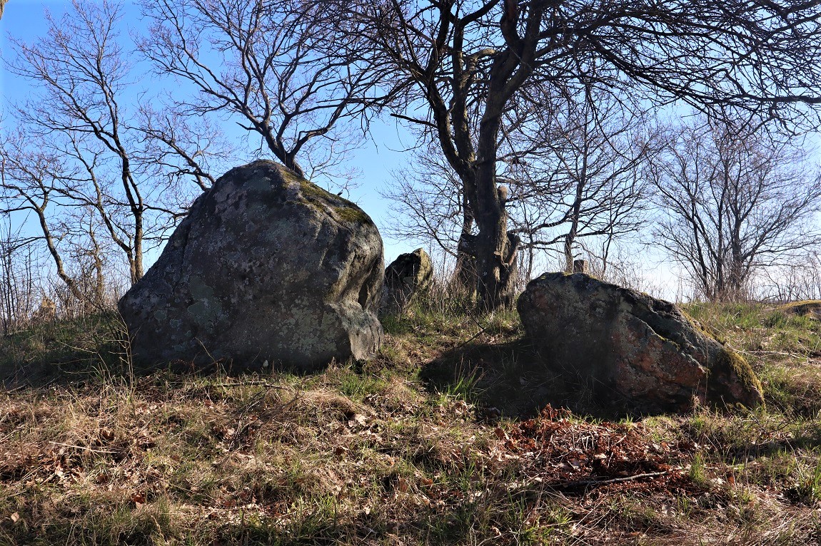 Click for the gallery page to add comments and vote (PID:256749) Svenstrup Dåsen Langdysse