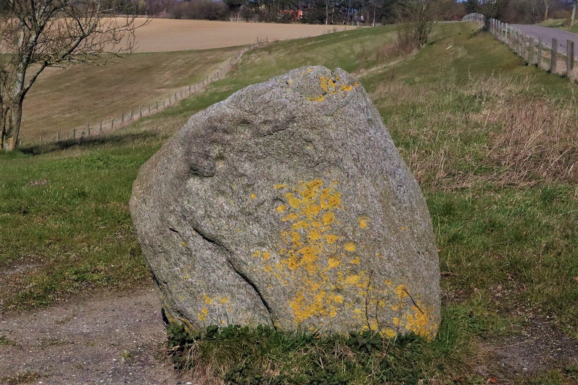 Click for the gallery page to add comments and vote (PID:225149) Lyngmosegård Helleristningssten