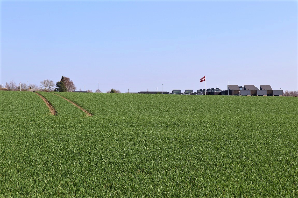 Click for the gallery page to add comments and vote (PID:226543) Krogsbølle Boplads (14.000 years ago)