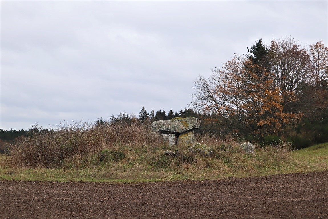 Tøstrup Runddysse 1