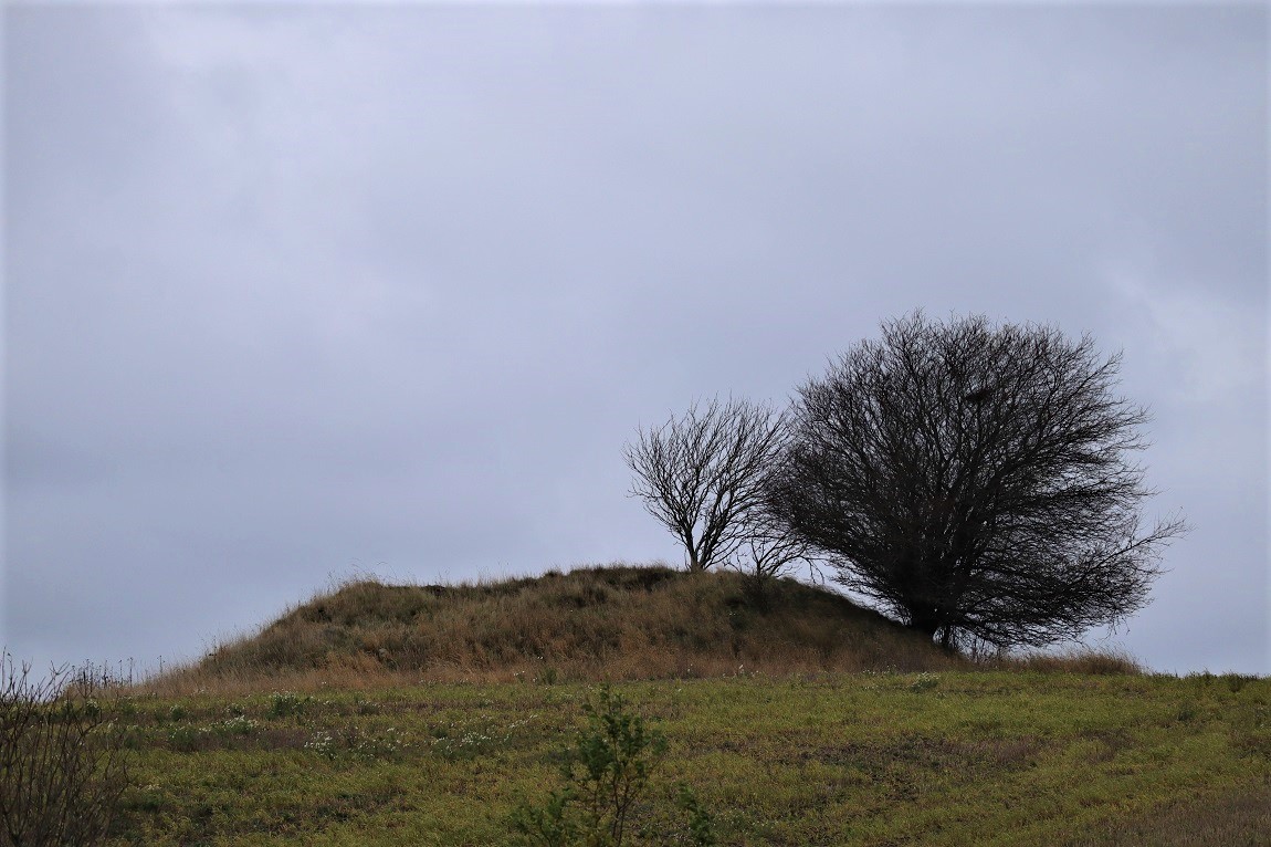 Click for the gallery page to add comments and vote (PID:206770) Tøstrup Rundhøj