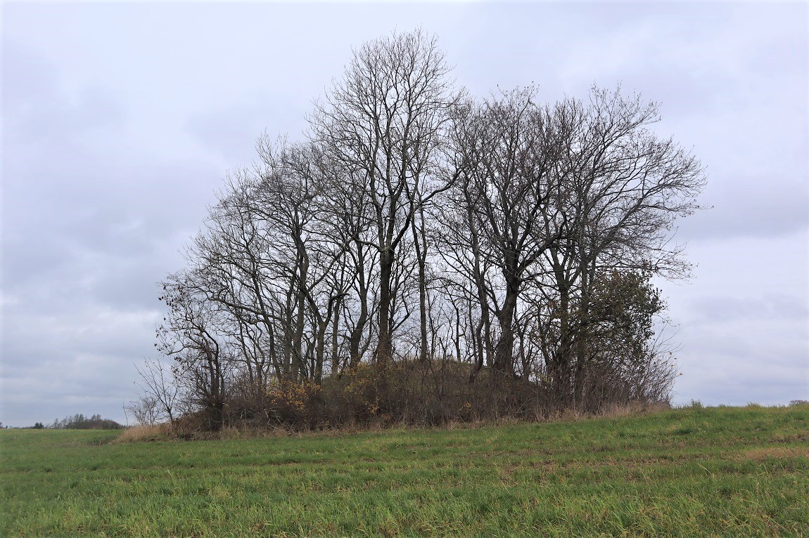 Click for the gallery page to add comments and vote (PID:206778) Lund Rundhøj (Trustrup)
