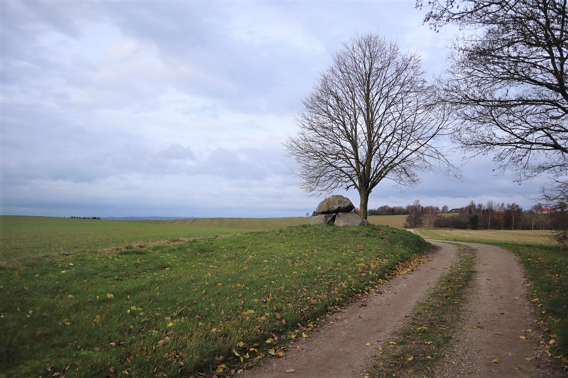Click for the gallery page to add comments and vote (PID:206010) Rolsøgård Runddysse 1