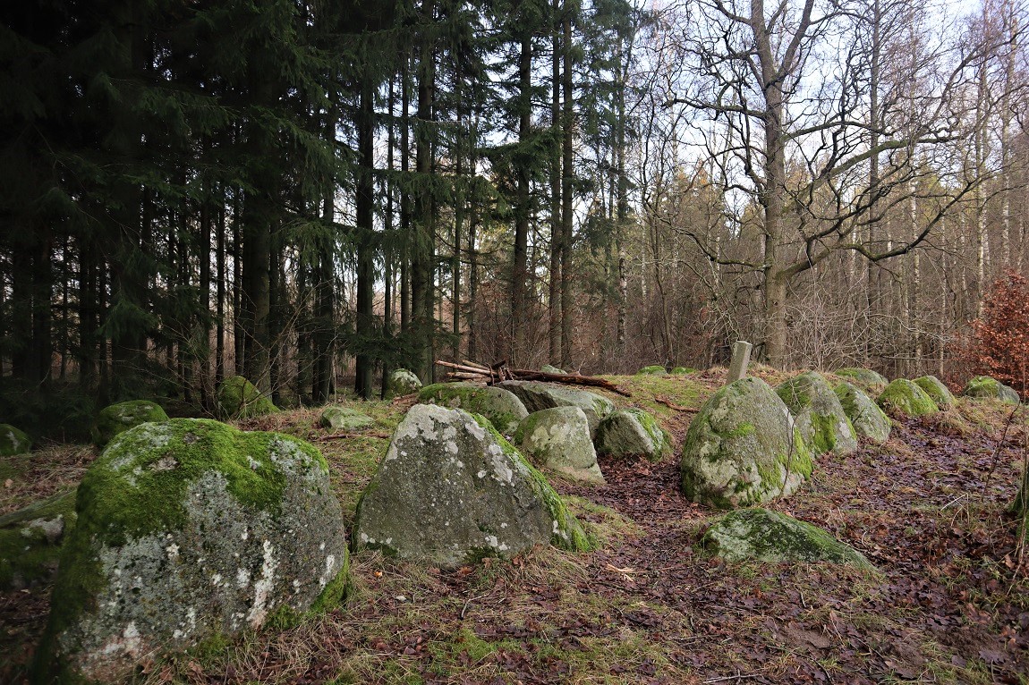 Click for the gallery page to add comments and vote (PID:229318) Rye Skov Langdysse