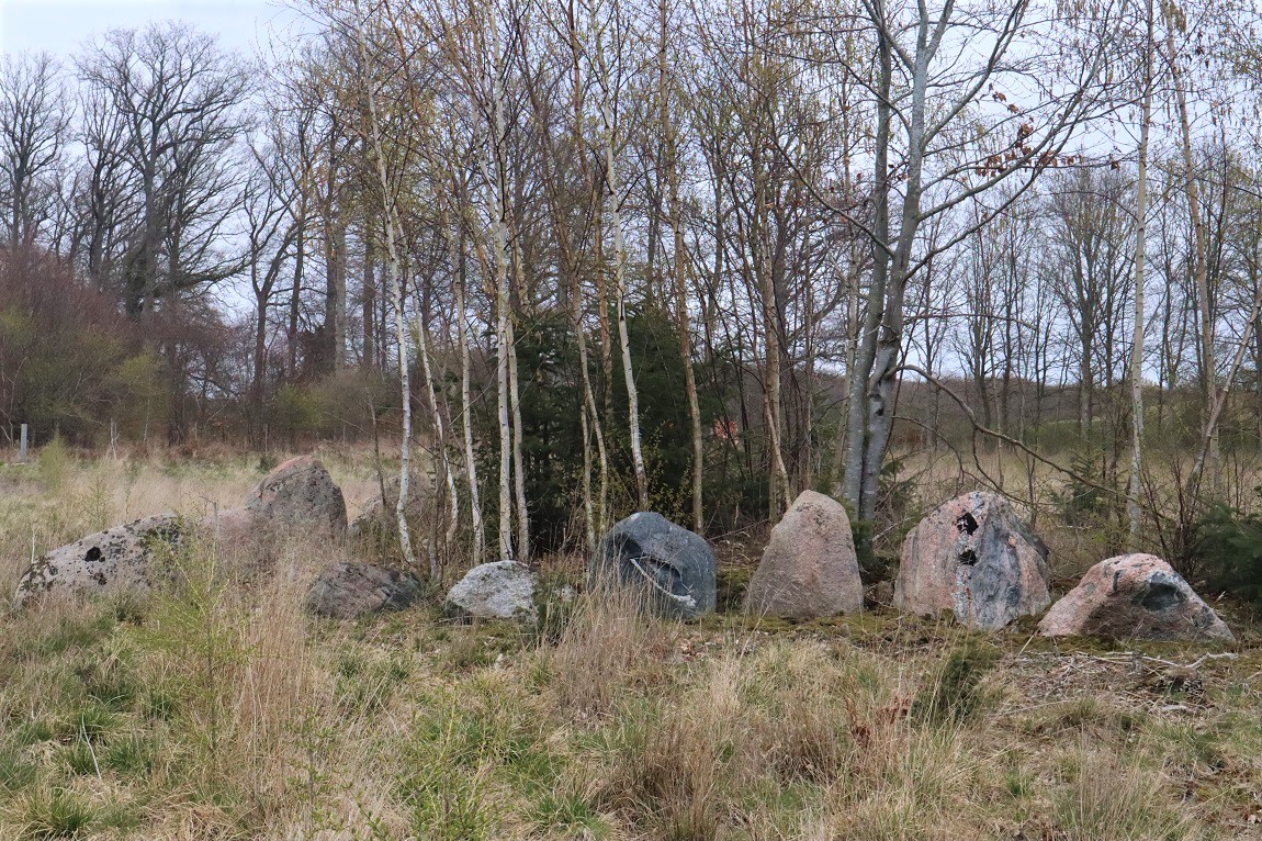 Click for the gallery page to add comments and vote (PID:230734) Apager Skov Langdysse 2