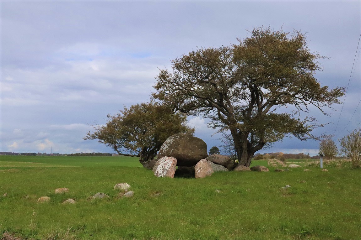 Click for the gallery page to add comments and vote (PID:226995) Borreby Jættestue