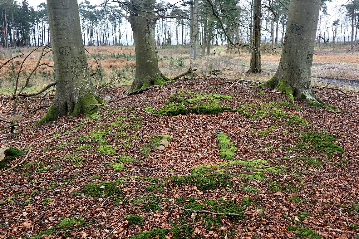 Bønsvig Hovedskov Langdysse