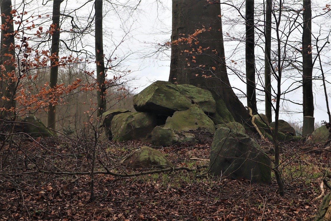Click for the gallery page to add comments and vote (PID:209175) Stensby Skov Afd.33 Langdysse