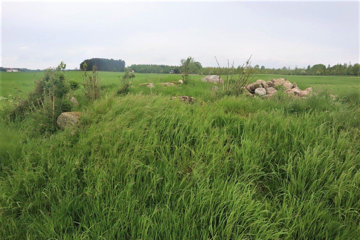 Click for the gallery page to add comments and vote (PID:228118) Ulstrup Hede Runddysse