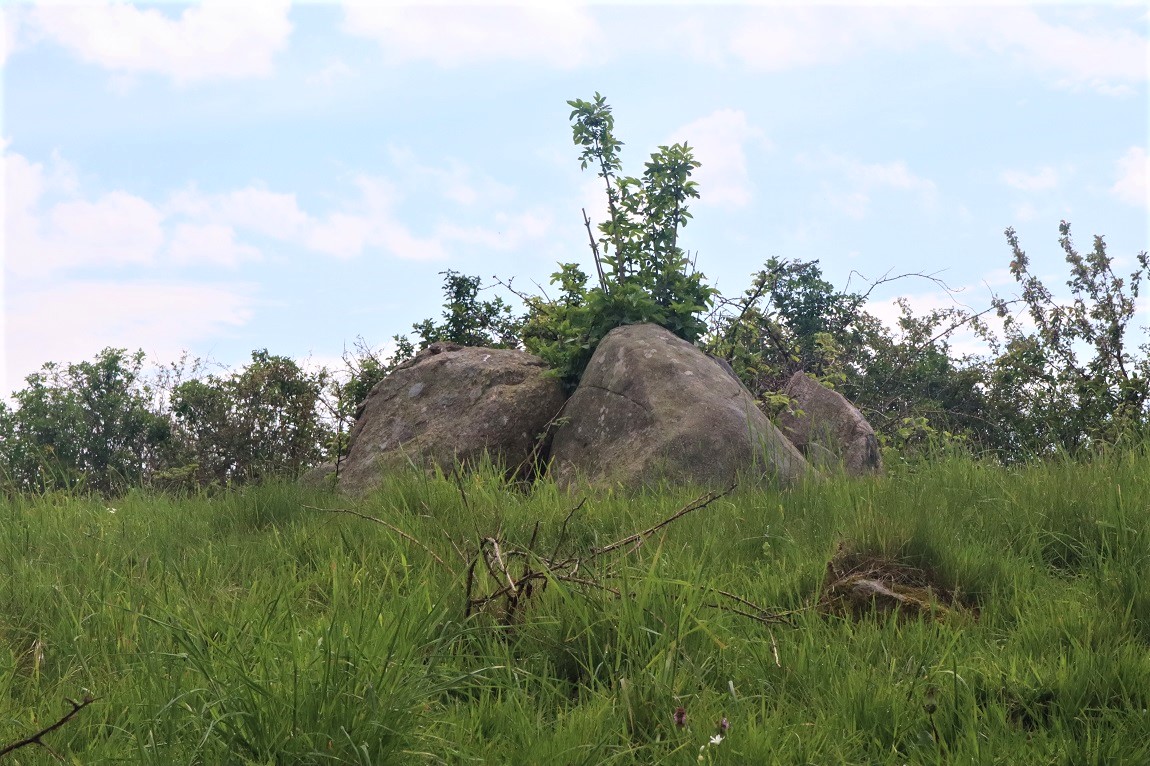 Click for the gallery page to add comments and vote (PID:227680) Gravlev Runddysse 2