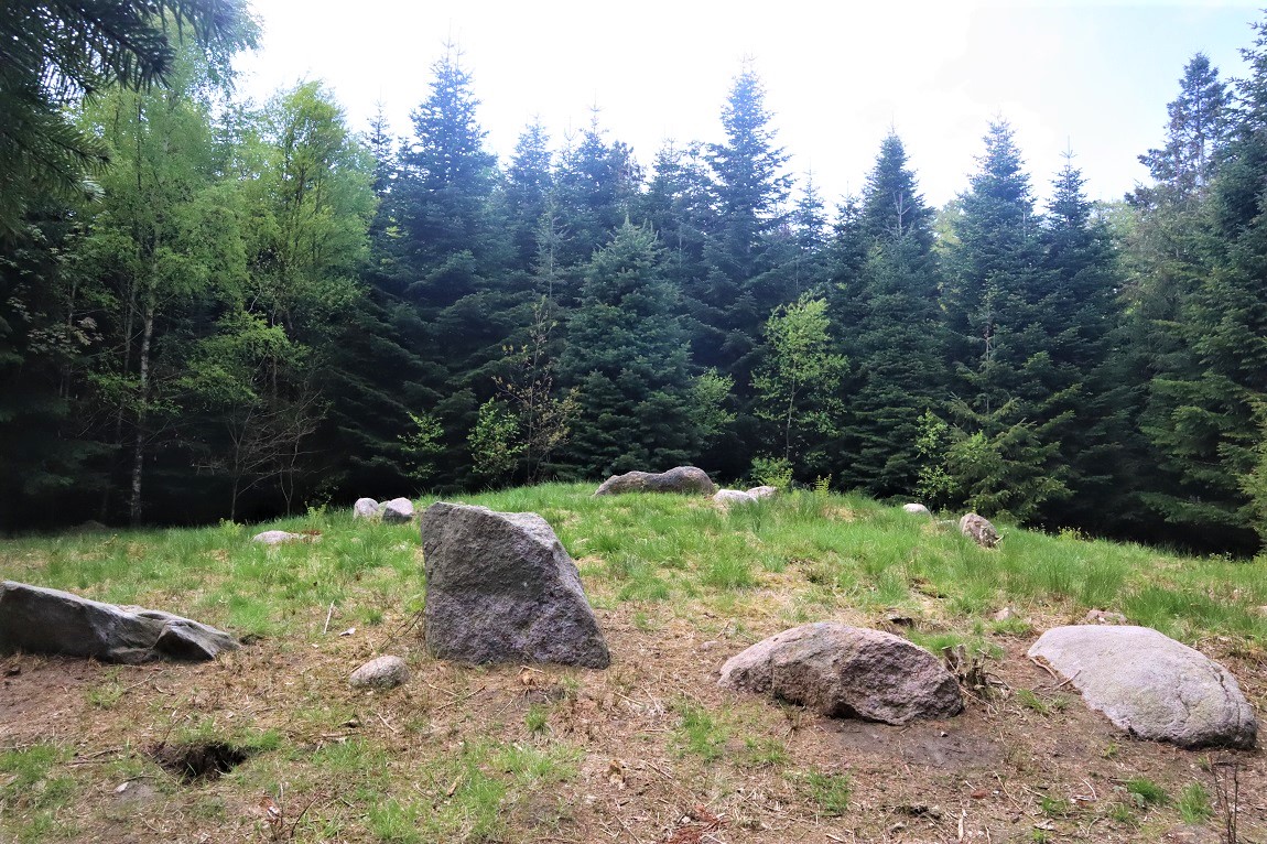 Click for the gallery page to add comments and vote (PID:233813) Ringelmose Skov Langdysse 5