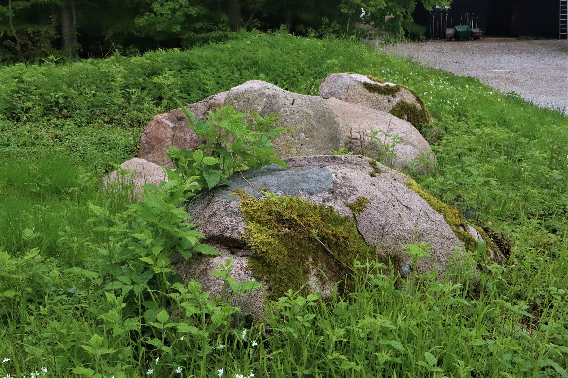 Hørret Skov Megalitgrav