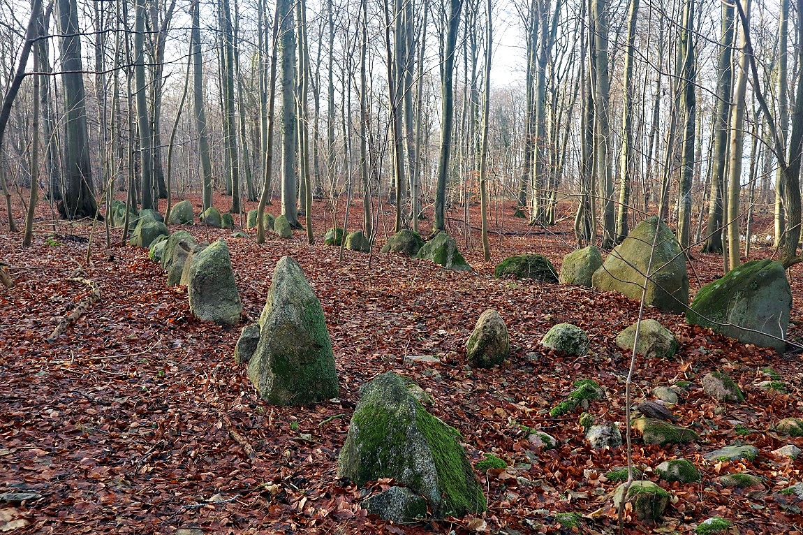 Click for the gallery page to add comments and vote (PID:267774) Sortsø Fredskov Langdysse 1