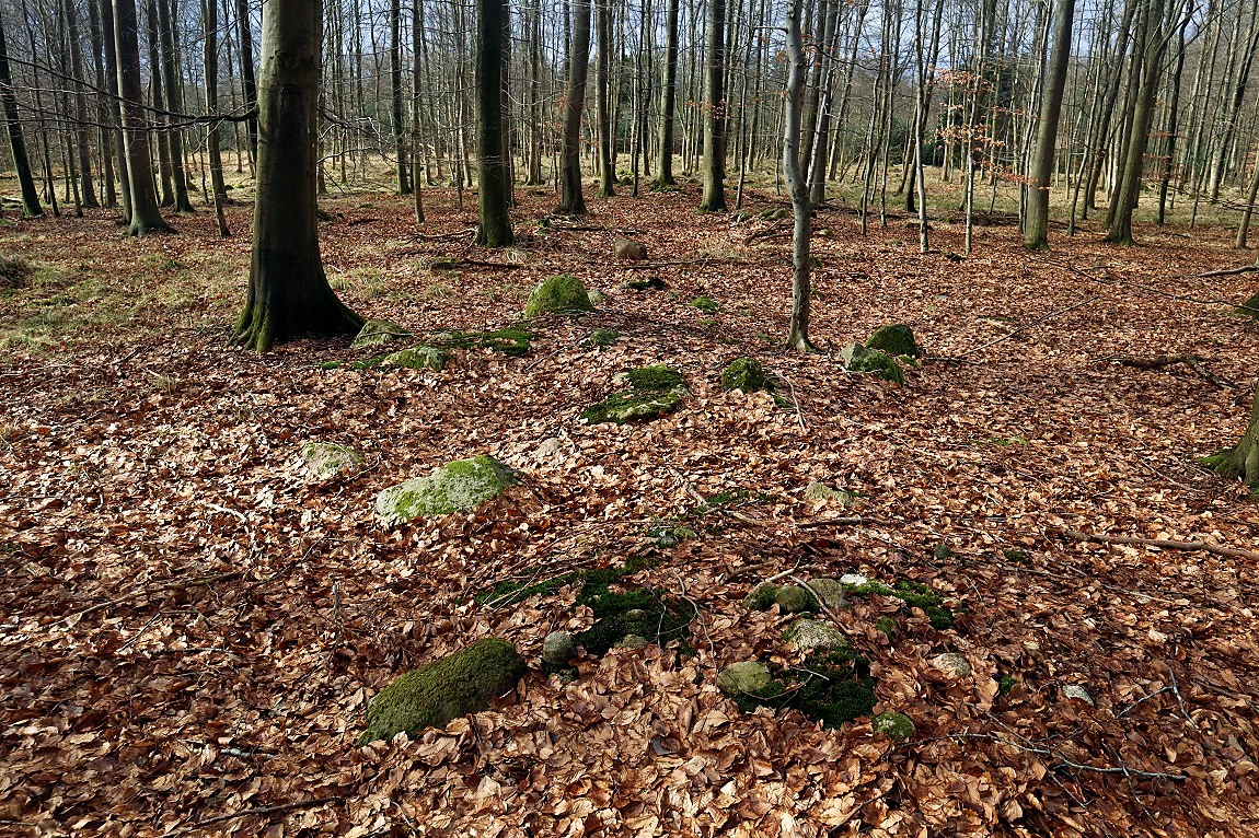 Bækkeskov Langdysse 2