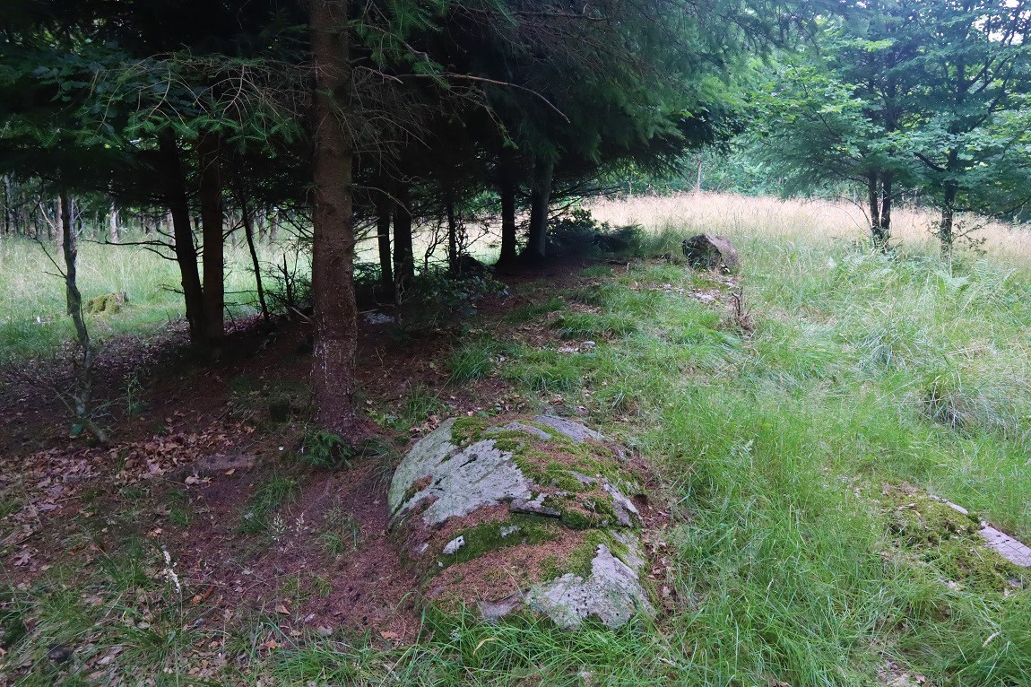 Click for the gallery page to add comments and vote (PID:232221) Alsted Skov Langdysse 5