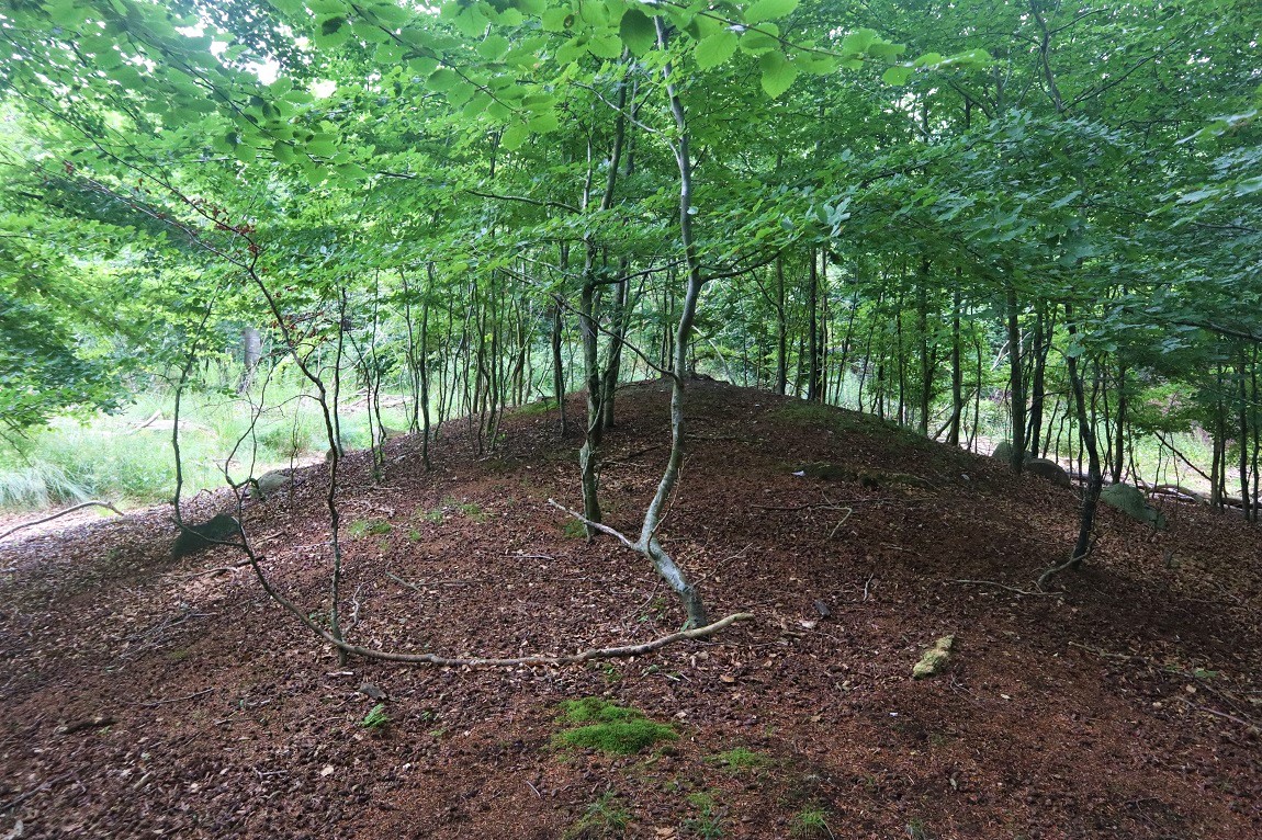 Click for the gallery page to add comments and vote (PID:230939) Alsted Skov Langdysse 3