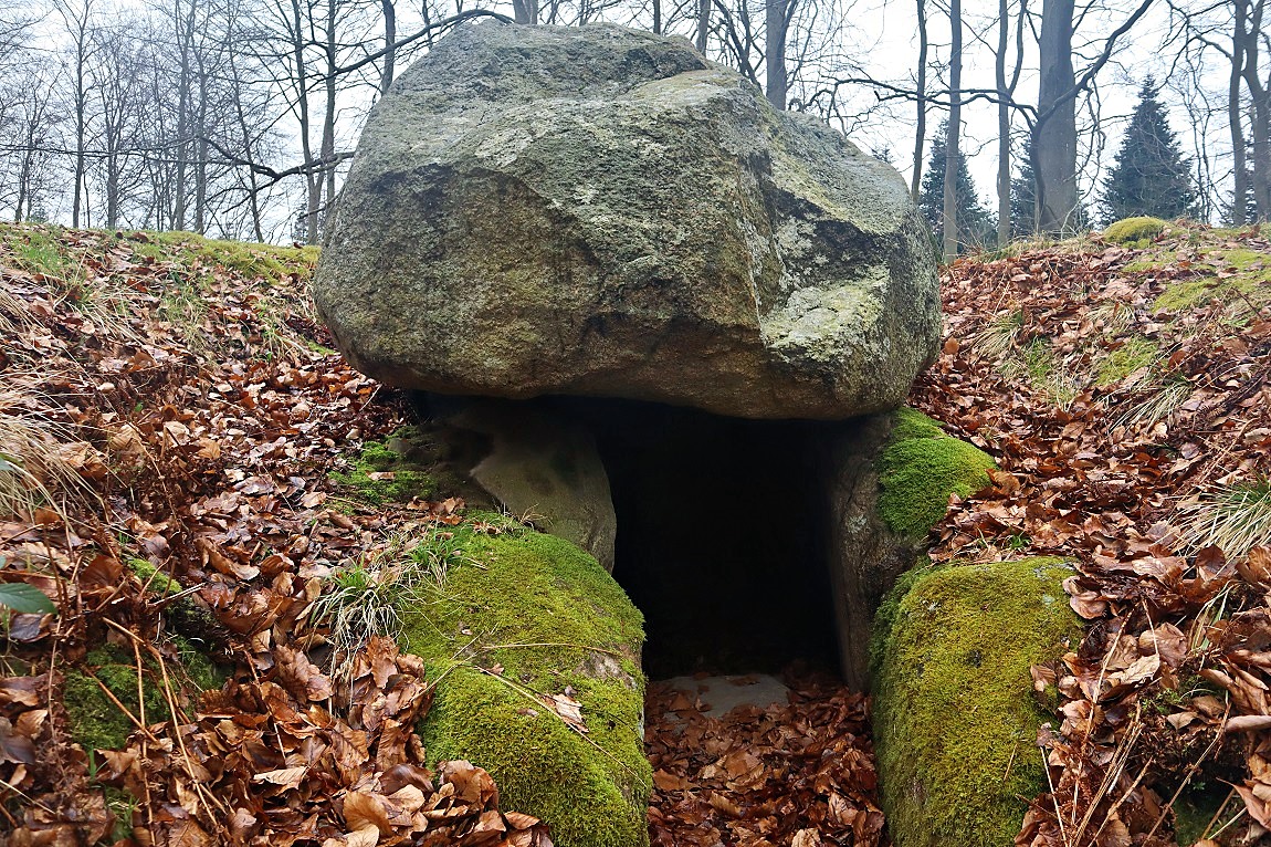 Kongsøre Skov Runddysse 3