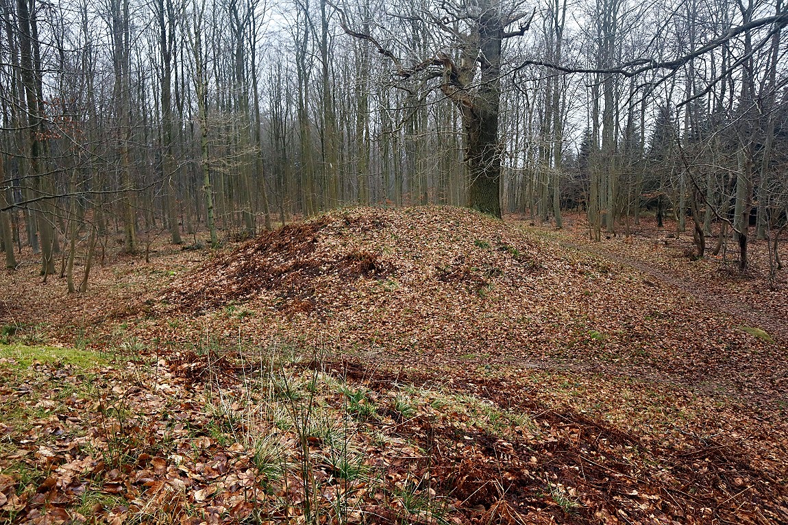 Prinsehøjene. Dolmen in mound. The Danish crown prince, later King Frederik d. 7, excavated the mounds in the 1830s. That is why they are called Prinsehøjene.
There are 2 mounds next to each other. The mounds were restored in 1937. In the eastern mound the chamber is open. In the western mound the chamber is covered with earth.
23 x 2,5 meters. Well preserved. Some kerbstones can be seen. Over