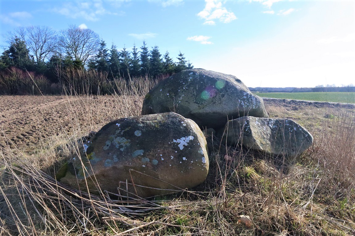 Click for the gallery page to add comments and vote (PID:238767) Reerslev Rævsbjerg Megalitgrav