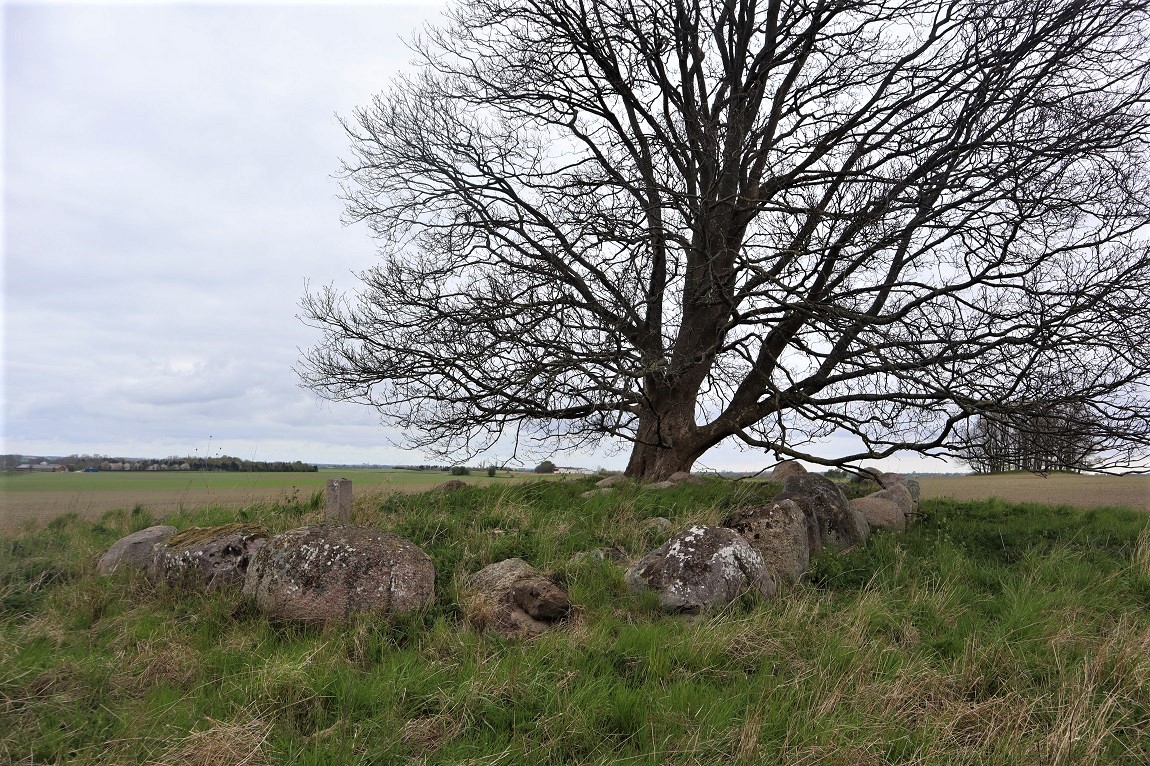 Click for the gallery page to add comments and vote (PID:211631) Bildsø Langdysse 4