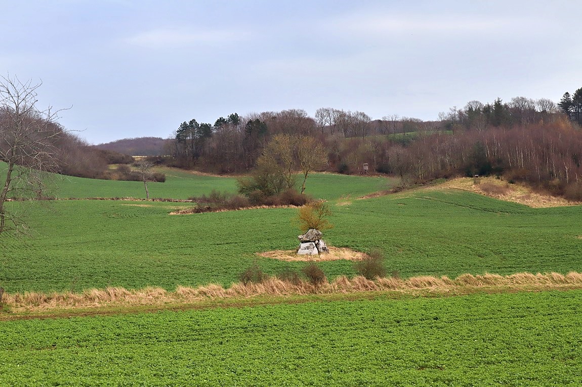 Click for the gallery page to add comments and vote (PID:276770) Hyllested Runddysse 2