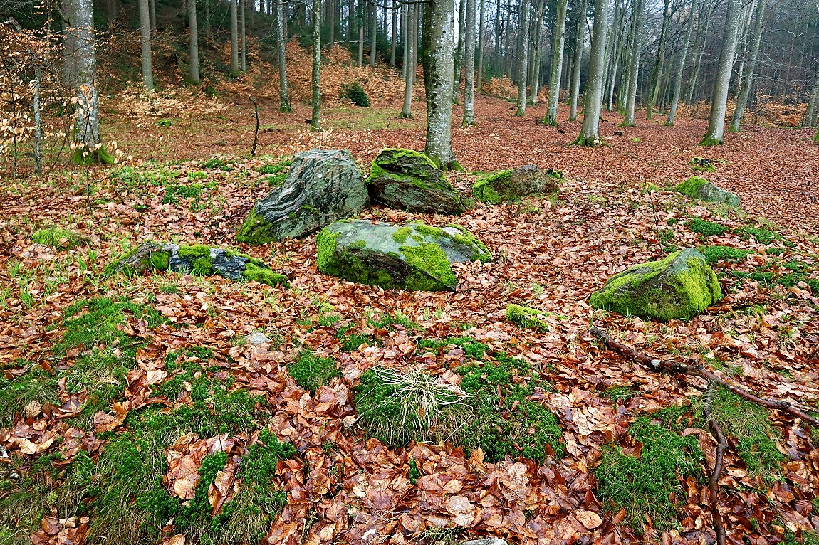 Click for the gallery page to add comments and vote (PID:276588) Tårup Skov Runddysse
