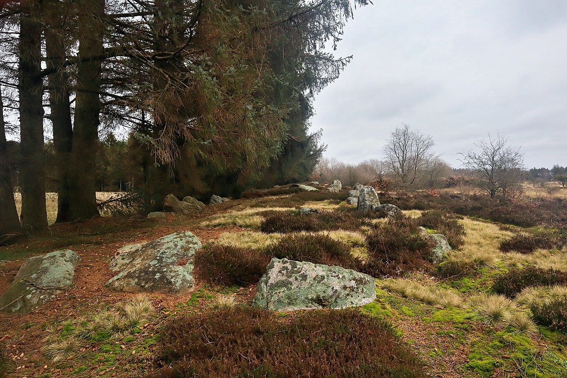 Click for the gallery page to add comments and vote (PID:283498) Vorbasse Langdysse