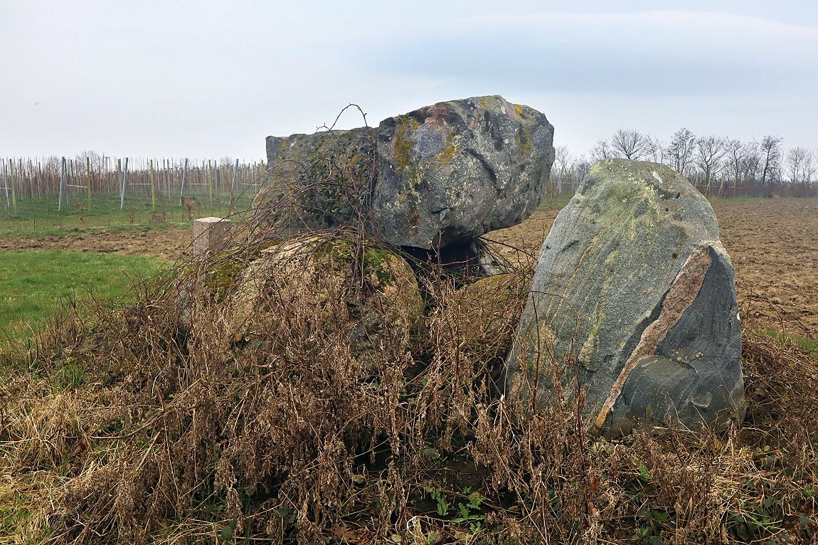 Click for the gallery page to add comments and vote (PID:275884) Grevlerupgård Runddysse 2