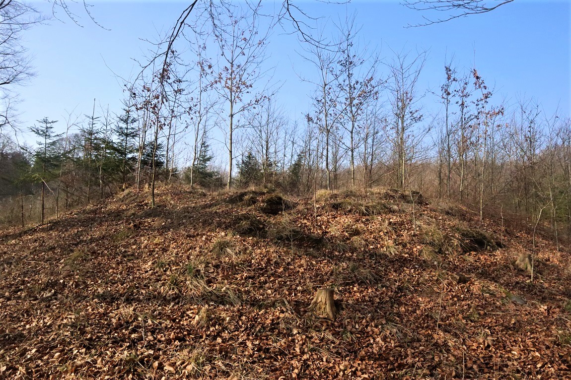 Bækkeskov Langdysse 1