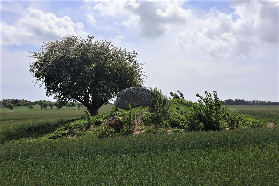 Click for the gallery page to add comments and vote (PID:214547) Homå Jættestue